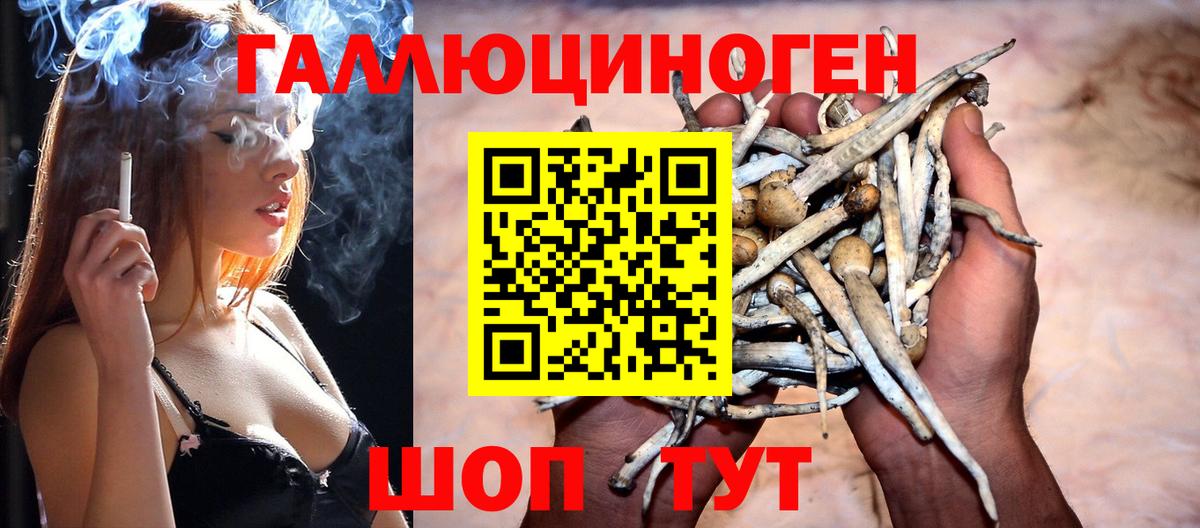 Псилоцибиновые грибы GOLDEN TEACHER  Галлюциногенные грибы Psilocybine cubensis  магазин  наркотиков  Вход с VPN  Строитель 